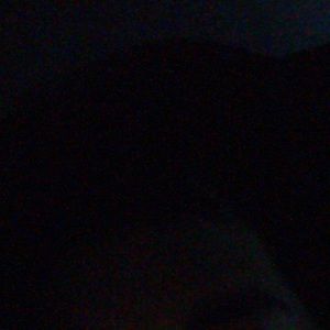 Meet your Posher, Jess